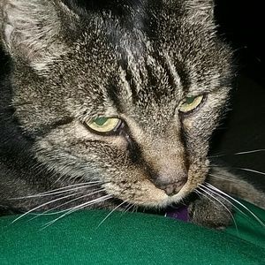 Meet your Posher, Angie